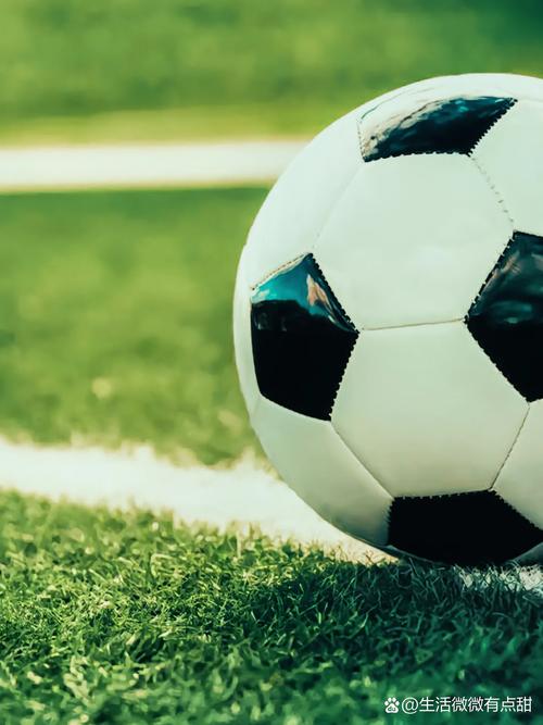 即时比分球探网007下载应用界面展示