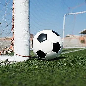 专业分析师使用球探网007进行数据研究